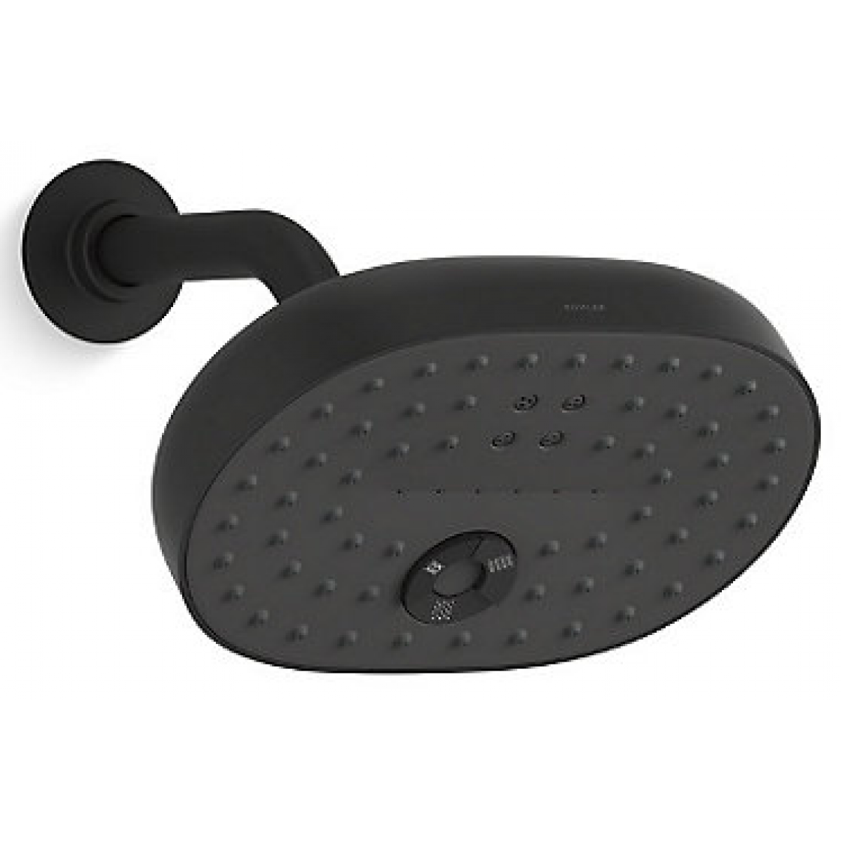 Kohler STATEMENT K-26290T-BL 多功能手持花灑 | 霧黑色